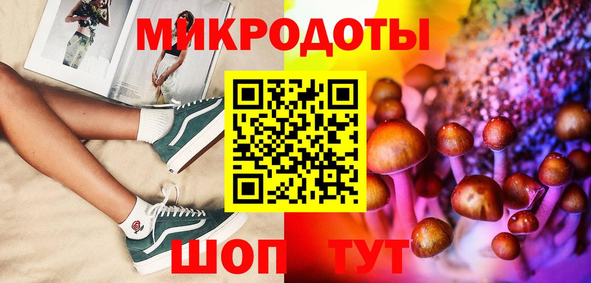 Рузаевка  Псилоцибиновые грибы Psilocybine cubensis  Вход с VPN 